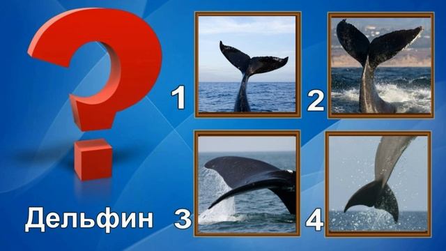 Познавательная игра "Угадай животное по хвосту" смотреть онлайн