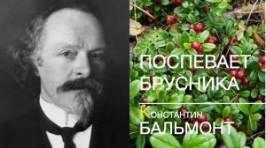 ПОСПЕВАЕТ БРУСНИКА. Константин БАЛЬМОНТ