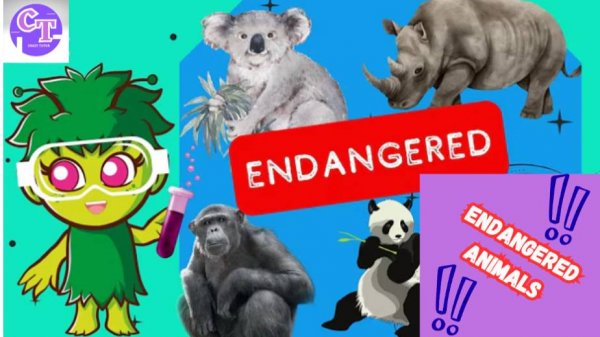 Endangered Animals
