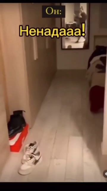 Академия Юмора смотреть онлайн