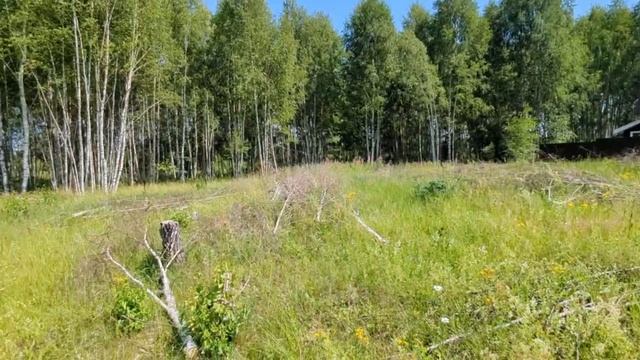 Арманиха смотреть онлайн