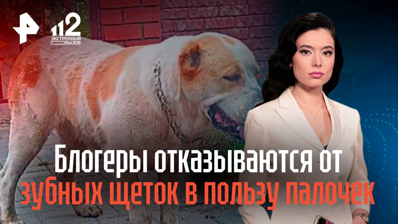 Стая агрессивных алабаев терроризирует жителей Нижнего Новгорода смотреть онлайн