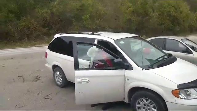 29 ноября 2023 г. смотреть онлайн