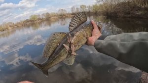 Рыбалка Москва Река 2025