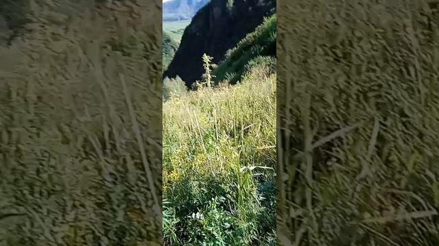 поехали в горы