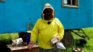 Пчёл пересчитают, ульи чипируют