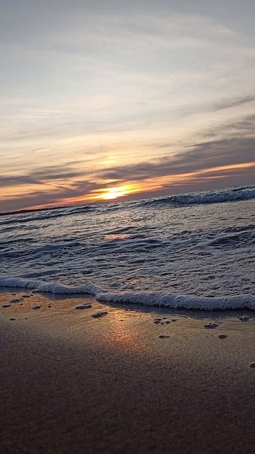 Финский Залив