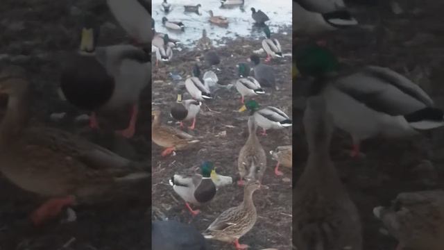 28 ноября 2023 г. смотреть онлайн