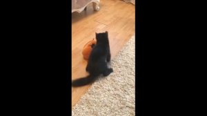 С Днем Рождения!