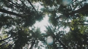 ЭНЕРГОТЕХ - Корпоративный фильм