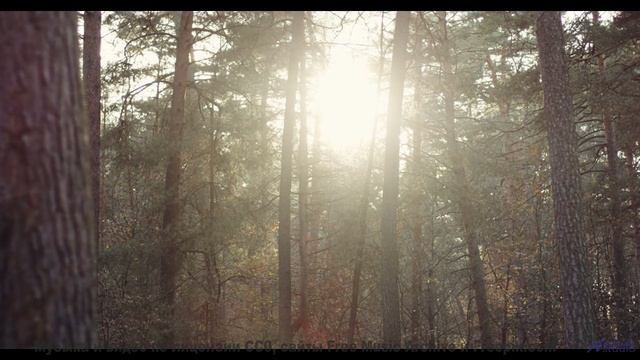 Это место НЕ ЛЮБИТ гостей! - Memoria (Mythic Mix) -- AKMV-18 -- Damnatio Memoriae EP