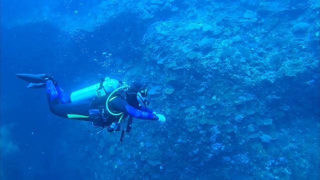 Филиппины-Таиланд. СЕЛИ и ПОЕХАЛИ!