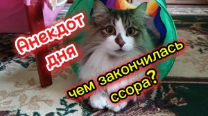 Анекдот дня. Чем закончилась ссора?