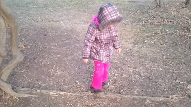 ЗИМНИЙ ПАРК! ЦВЕТУТ ОДУВАНЧИКИ! ЁЖИК НА ДЕРЕВЕ_ ИЩЕМ БЕЛОК! ПАВЛИНЫ! (Архив) смотреть онлайн