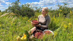 БОГОРОДСКИЙ КРАЙ ГРИБОВ И ЯГОД/СТРОИМ ДОМ В ДЕРЕВНЕ/ЗАГОТОВКИ НА ЗИМУ КЛУБНИКИ
