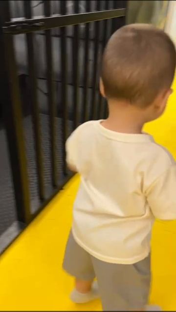 VID-20250601-WA0069 смотреть онлайн