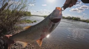 Рыбалка Ока 2025