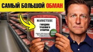 Говядина травяного откорма – ВЕЛИЧАЙШАЯ в мире афера!😲