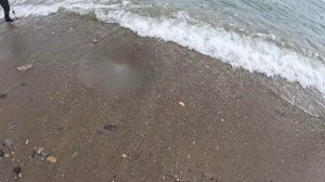 Рыбалка на горбушу в Приморском крае. 2025. Бешеные клев горбуши!