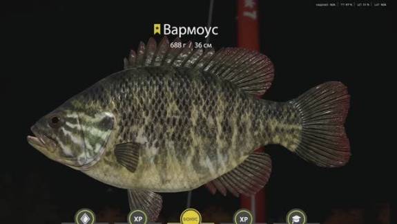 РУССКАЯ РЫБАЛКА 4 РР4 ЛОСИНОЕ ТРОФЕЙ ВАРМОУС