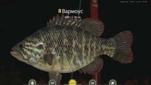 РУССКАЯ РЫБАЛКА 4 РР4 ЛОСИНОЕ ТРОФЕЙ ВАРМОУС