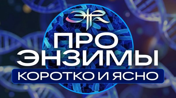 ПРО ЭНЗИМЫ КОРОТКО И ЯСНО
