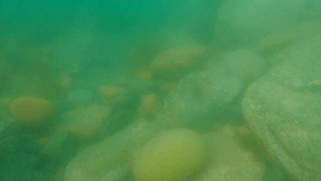 E73 Владивосток. На морских каяках Seabird Expedition HV и Winner Otium по островам. смотреть онлайн