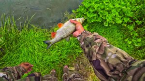 ЛОВЛЯ ГОЛАВЛЯ НА СПИННИНГ ОН БЕЗ УМА ОТ ЭТОГО КРЭНКА