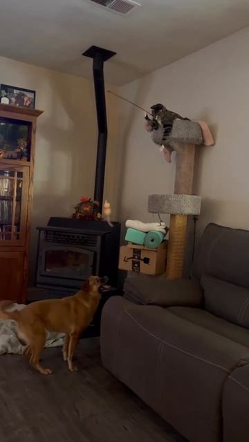 Они эволюционируют смотреть онлайн