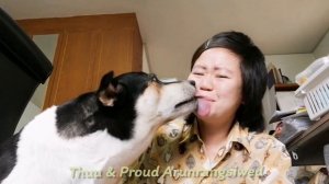 Собака лижет 10 минут