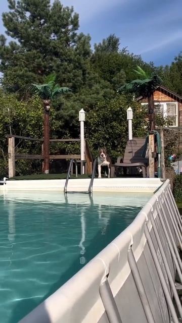 Купаться!) смотреть онлайн