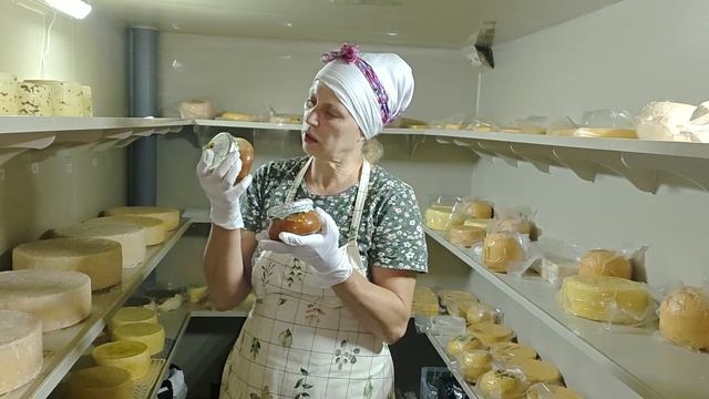 ВЫПУСТИЛИ ГУСЕЙ НА ЛУГА! смотреть онлайн