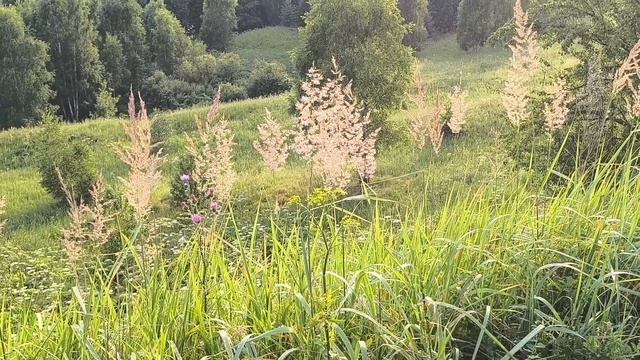 Лекарство для души❤. смотреть онлайн