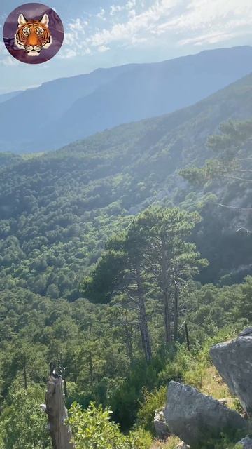 Горные Красоты #горы #крым #tigrvtanke #красоты смотреть онлайн