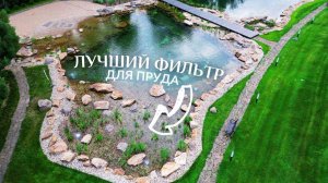 Чистый пруд без лишнего ухода и затрат | Самая эффективная фильтрация для пруда — болотный фильтр