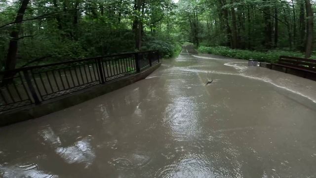 Измайловский потоп