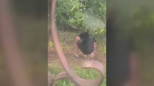 Наркоманы совсем потеряли страх и уже в открытую ищут закладки