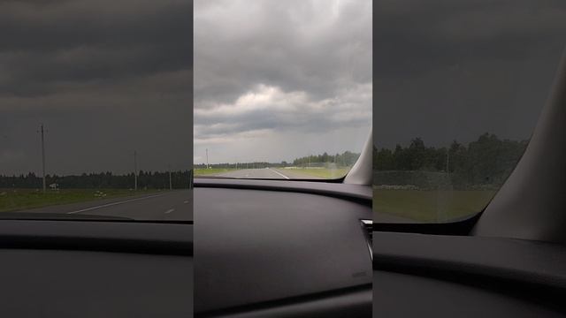 Едем в Питер! Нас не догонишь! смотреть онлайн