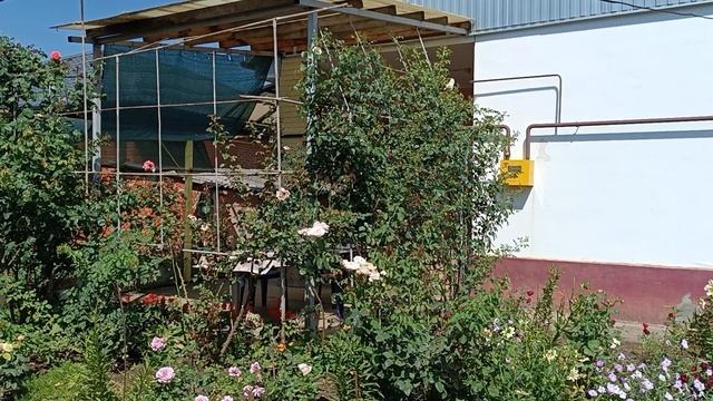 15.07.25. Жара - жаришка. Расхламляемся. смотреть онлайн