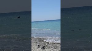 Невероятное "Море" Жени Трофимова и Комнаты культуры❤️