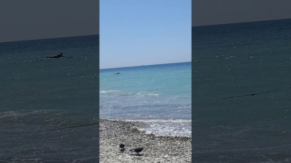 Невероятное "Море" Жени Трофимова и Комнаты культуры❤️