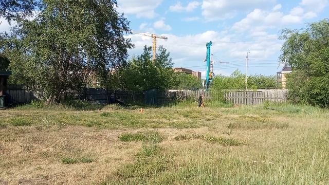 3.  выражено/пож ЯДВИГА С БРАТСКОГО ВЗМОРЬЯ (Matrix De La Madonina – Самбука с Братского Взморья)