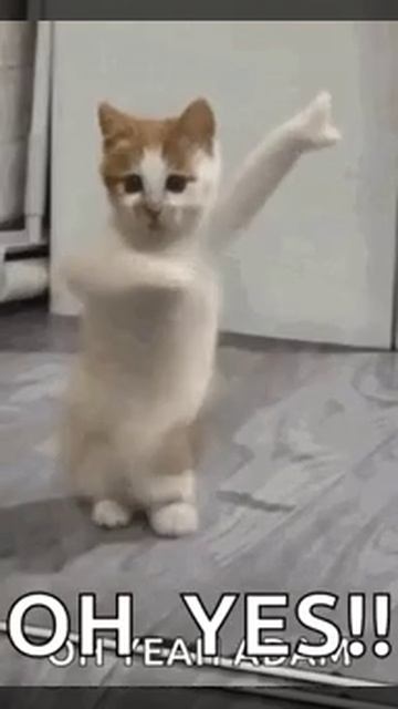 ппо смотреть онлайн