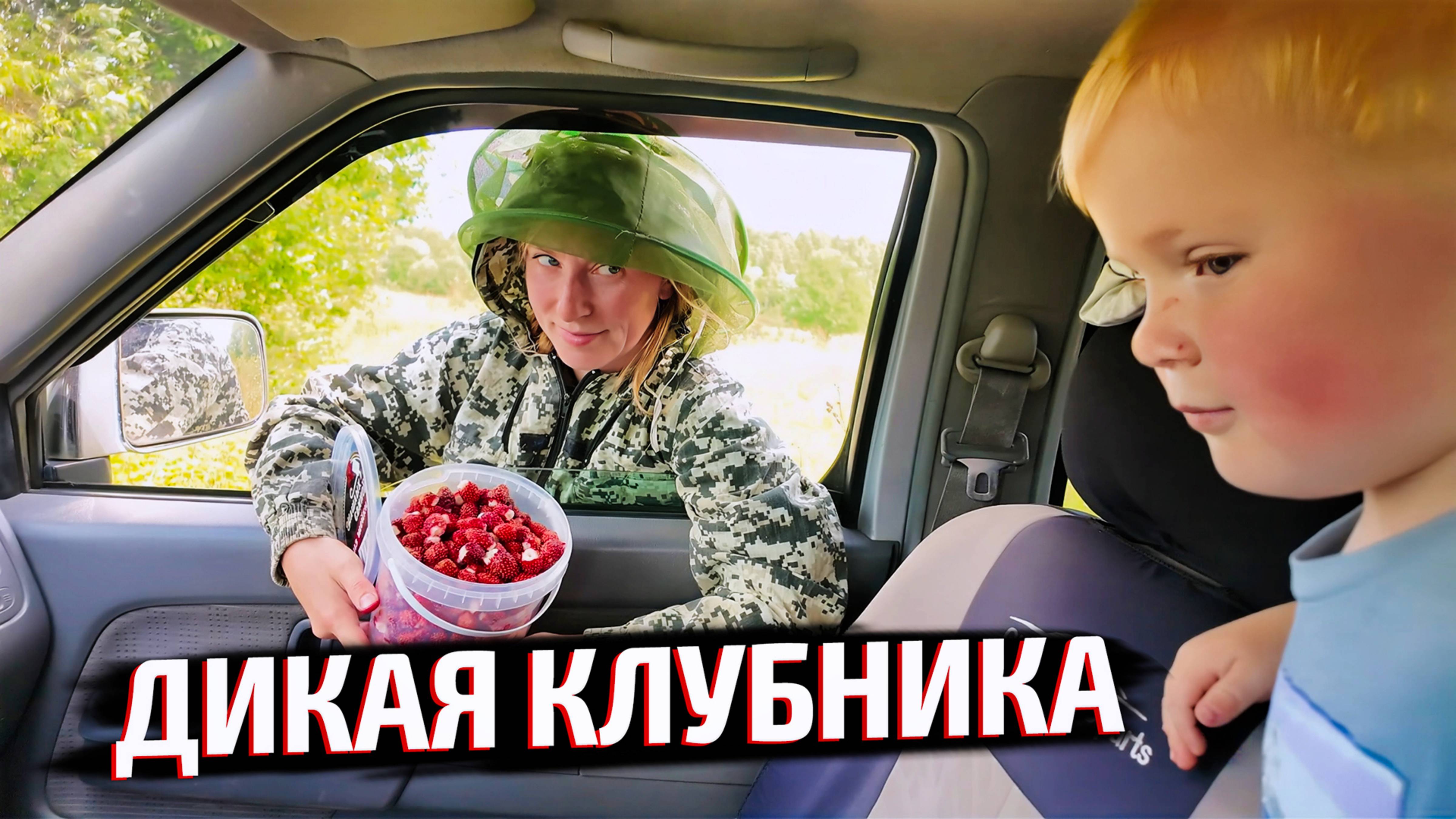 ДОДЕЛАЛ ЗАЩИТУ ОТ ПТИЦ / ЭКСПЕДИЦИЯ ЗА ЛЕСНОЙ КЛУБНИКОЙ НА ПИКАПЕ смотреть онлайн