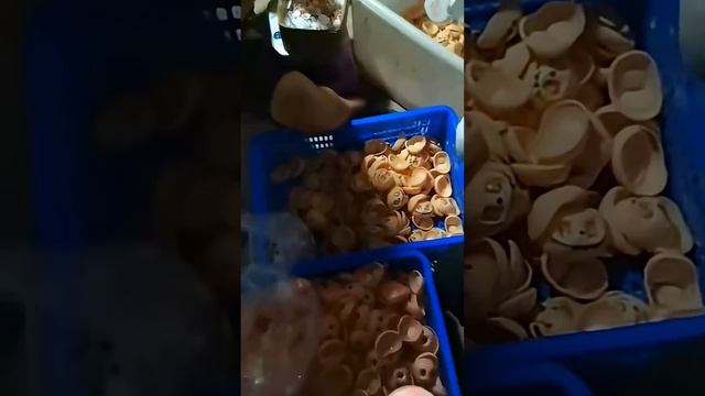 Миф или реальность?!? #лабубу