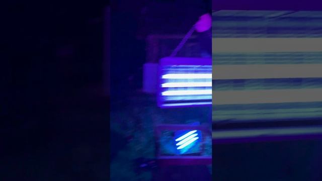 Большая электроловушка для насекомых FROJER смотреть онлайн