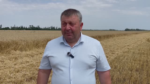 15-07-2025 г. В районе уборочная кампания в самом разгаре смотреть онлайн