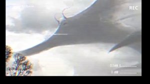 песня про акулу самолёт