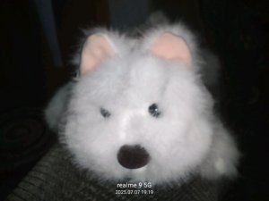 пипл плей граунд