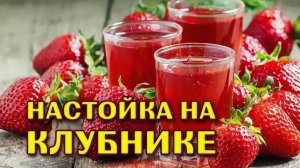 РЕЦЕПТ НАСТОЙКИ НА КЛУБНИКЕ. КЛУБНИЧНАЯ НАСТОЙКА #сезонконтентаRUTUBE #рецепт #настойка #клубника